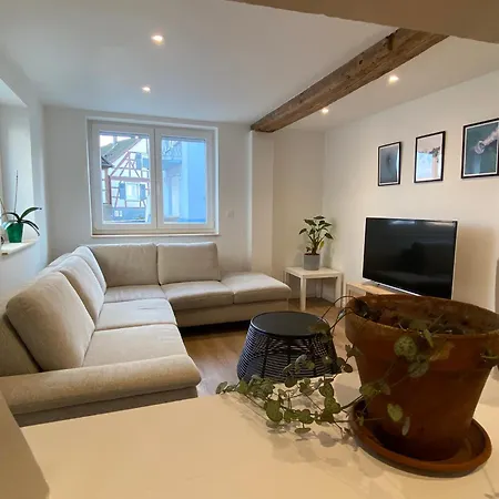 Appartement Confortable Soufflenheim Extérieur photo